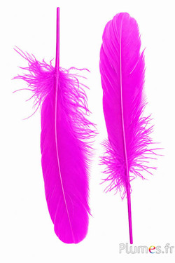 Oca - 15-21 cm, sinistra e destra - fucsia